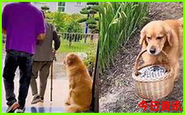 云南大理必去十大景点